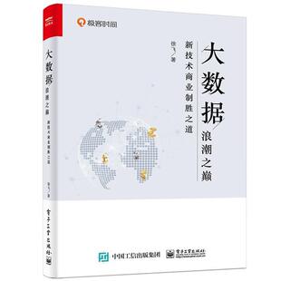 著电子工业出版 大数据浪潮之巅：新技术商业制胜之道徐飞 社9787121358340 包邮 正版