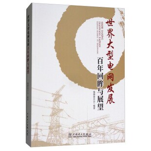 正版包邮世界大型电网发展百年回眸与展望《世界大型电网发展百年回眸与展望》编撰委员会 编中国电力出版社9787519800031