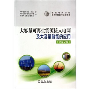 正版包邮大容量可再生能源接入电网及大容量储能的应用国际电工委员会 编,梁才浩,黄镔,张占奎 等 译中国电力出版社9787512351950