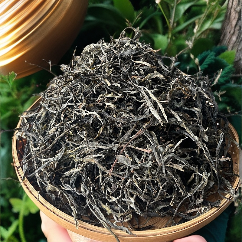 2025年 古六大茶山 蛮砖 古树生散茶 500g