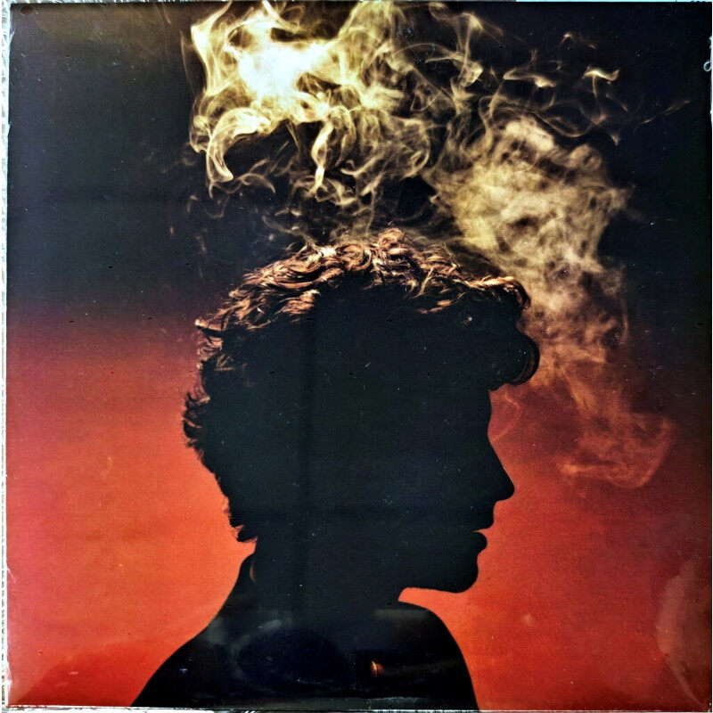 美版进口 萌德专辑Shawn Mendes肖恩门德斯 黄金之心山 7寸白胶LP