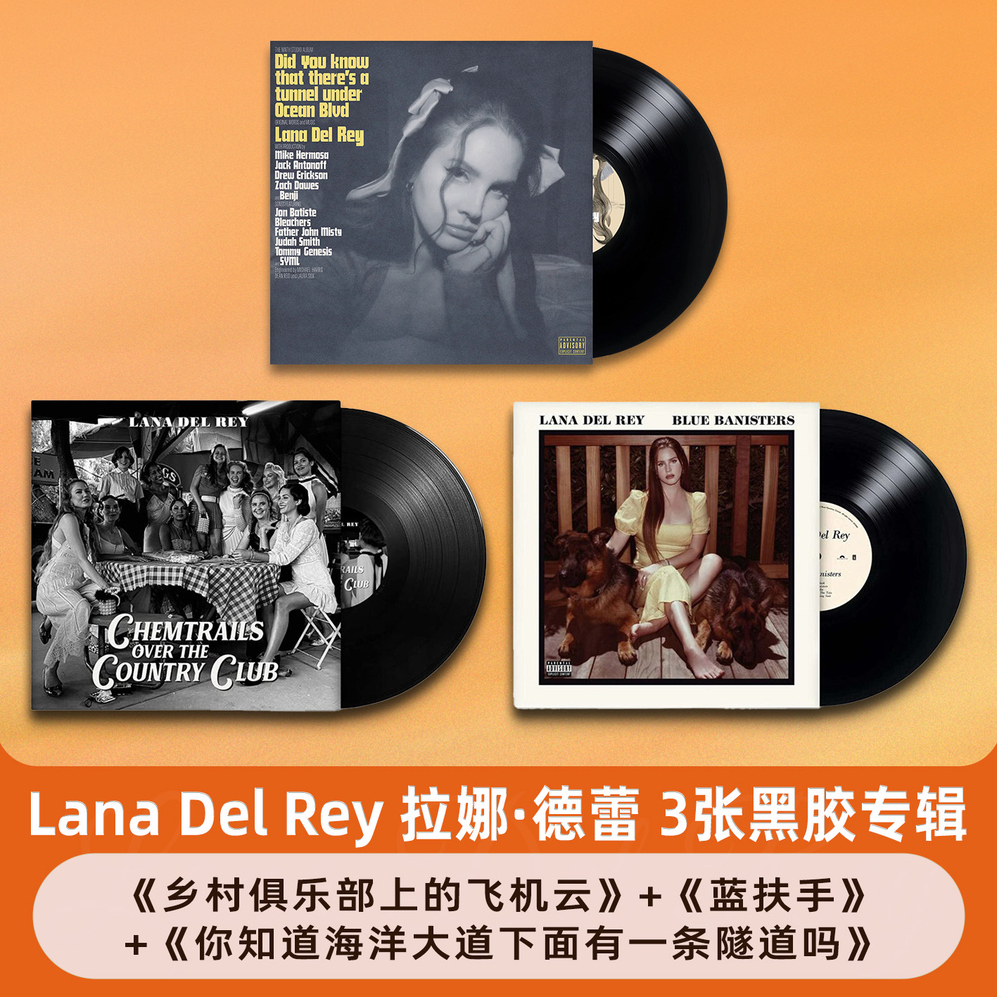 正版打雷姐专辑拉娜德蕾LanaDelRey海底隧道 蓝扶手 飞机云LP黑胶