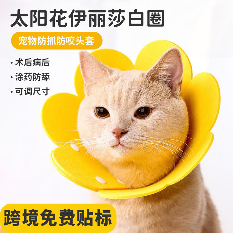 伊丽莎白头套猫绝育项圈防舔脖圈颈圈英短猫咪狗狗宠物用品,宠物/宠物食品及用品,宠物伊丽莎白圈,淘宝优惠券,粉丝福利购,淘宝优惠卷