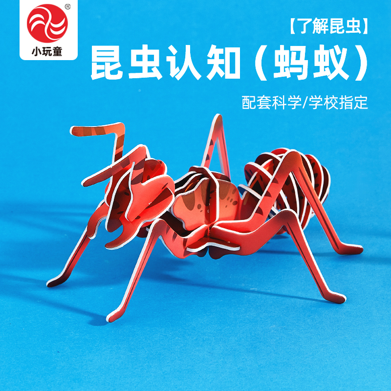 蚂蚁昆虫认知教科版三年级下册同步教程DIY制作学生玩教具送视频