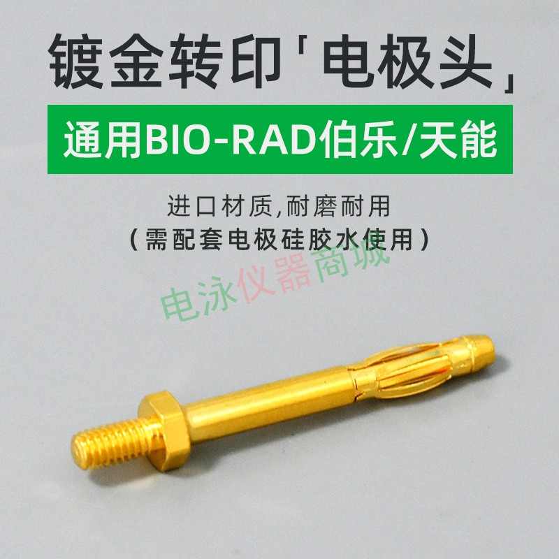 电极头电泳槽电极头wb电泳槽维修伯乐天能六一biorad电极头接线柱