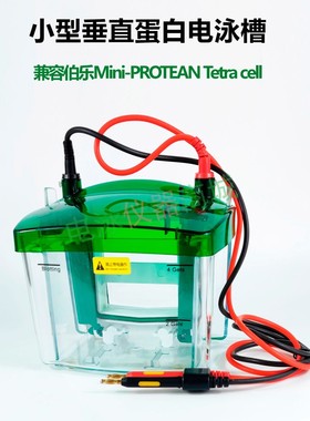 伯乐电泳槽 biorad小型电泳槽 wb电泳仪 Mini 1658001国产
