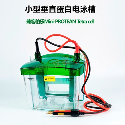 伯乐电泳槽 biorad小型电泳槽 wb电泳仪 Mini 1658001国产
