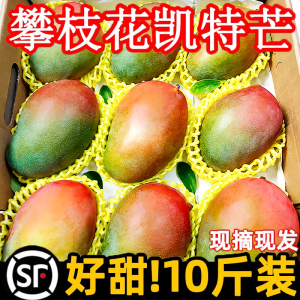 凯特芒攀枝花芒果现摘现发当季