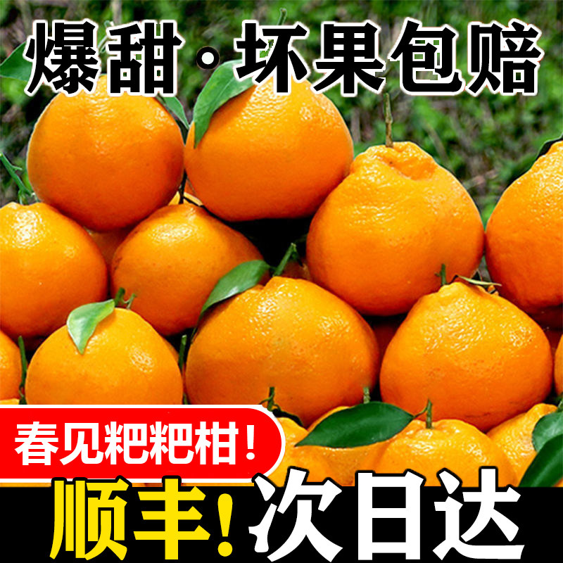四川春见耙耙柑粑粑柑正宗水果新鲜整箱当季丑桔新鲜10斤橘子包邮,水产肉类/新鲜蔬果/熟食,桔子,淘宝优惠券,粉丝福利购,淘宝优惠卷