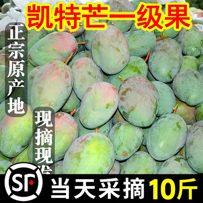 攀枝花凯特芒新鲜现摘特大应季