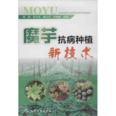 魔芋抗病种植新技术