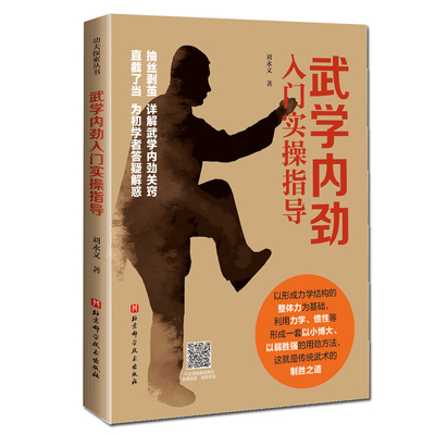 武学内劲入门实操指导 刘永文 武术内家拳初学 北京科学技术出版社