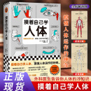 摸着自己学人体 著 山本健人 日 天津科学技术出版 人口学生活 新华书店正版 柴晶美 图书籍 译 社