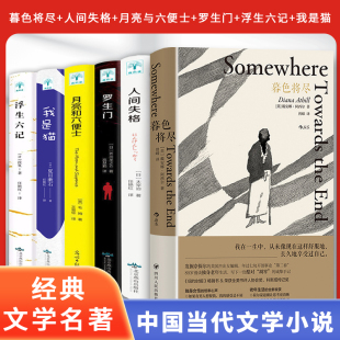 89岁独身女性 罗生门 我是猫 浮生六记 月亮和六便士 人间失格 戴安娜 官方正版 老年生活 暮色将尽 科斯塔传记奖得主 阿西尔著