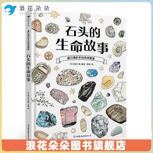 搜书正版盛口满的手绘自然图鉴 石头的生命故事 7-10岁 石头地质 日本童书研究会 科普百科绘本