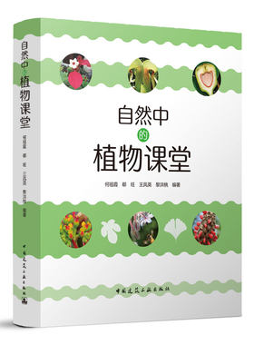 自然中的植物课堂热带雨林中