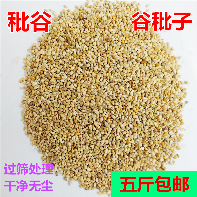 秕谷清凉透气枕芯填充物过筛干净