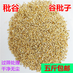 谷秕子瘪谷子秕谷小谷子枕芯填充物谷糠谷壳装枕头家用过筛过风机