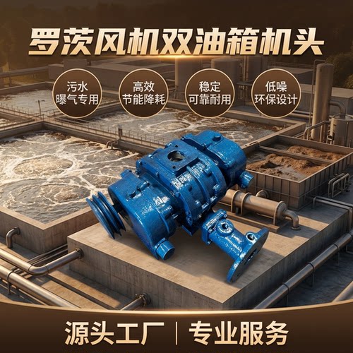 罗茨鼓风机双油箱机头污水曝气专用稳定耐用罗茨风机双油箱机头