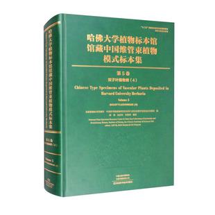 新书 5卷 双子叶植物纲 标本集 精 正版 9787572502217河南科学技术 哈佛大学植物标本馆馆藏中国维管束植物模式