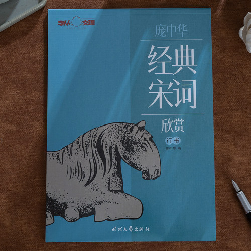 宋词行书钢笔字帖庞中华书成人学生钢笔硬笔中性笔行书临摹书法练习字帖练字本宋词原文译文练习欣赏蝶恋花永遇乐经典宋词欣赏字帖