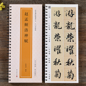 行书毛笔字帖逐字精讲赵体基础教程练字帖成人初学者近距离临摹放大版 全文视频 赵孟頫洛神赋传世碑帖临摹字卡入门对照版 书法原帖