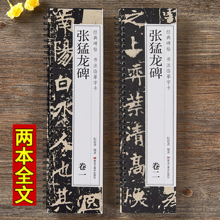 北魏张猛龙碑经典碑帖书法临摹字卡原大版简体旁注魏碑碑帖楷书毛笔书法字帖近距离临摹卡