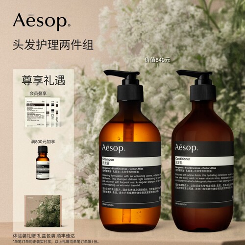 Aesop伊索头发护理两件组