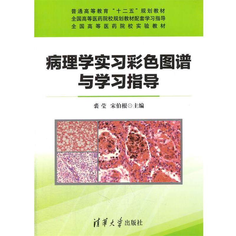 【正版书籍】 病理学实习彩色图谱与学习指导 宋伯根　等主编 清华大学出版社