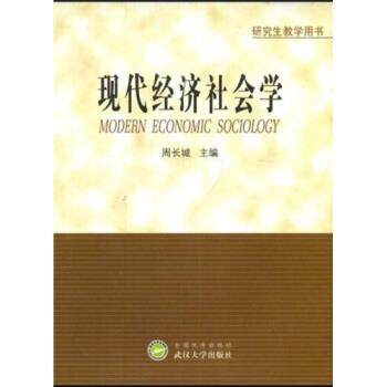 【正版书籍】 现代经济社会学 周长城 全国出版社,武汉大学出版社