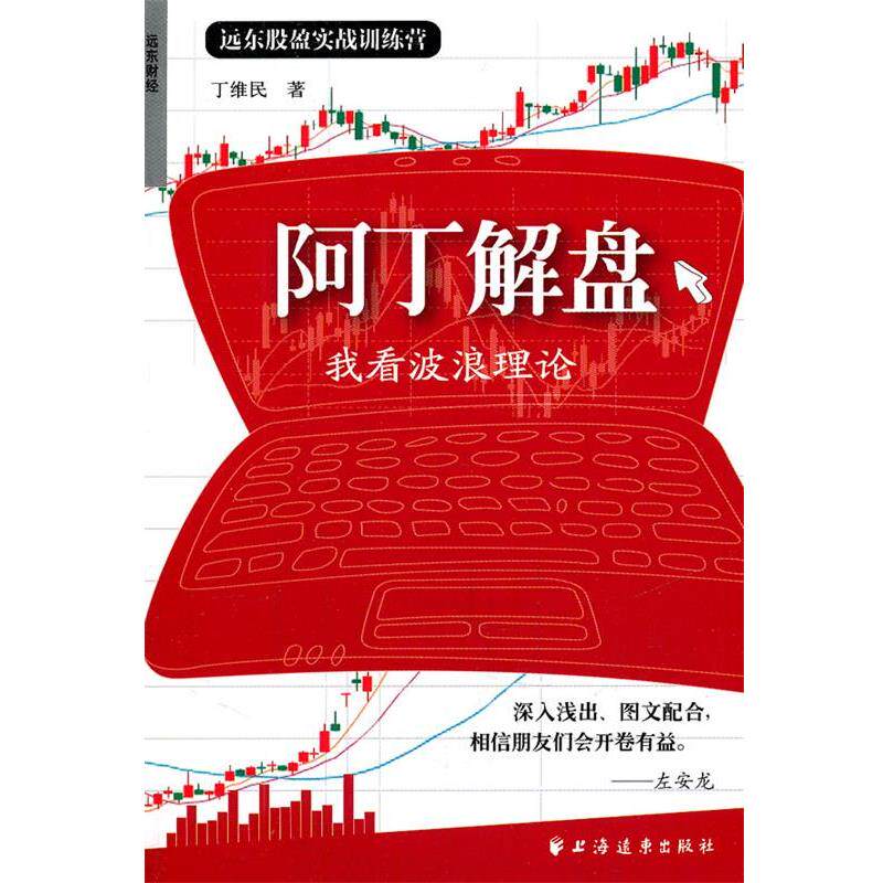 【正版书籍】 阿丁解盘 丁维民 著 上海远东出版社