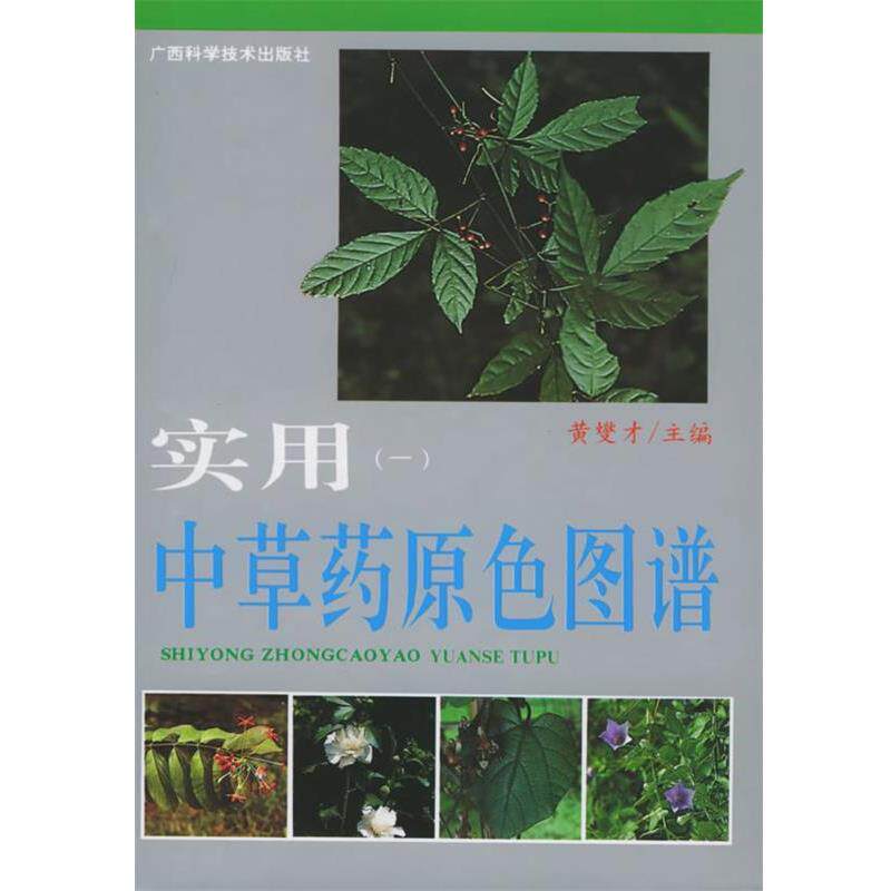 【正版书籍】 实用中草药原色图谱 黄燮才 主编 广西科学技术出版社