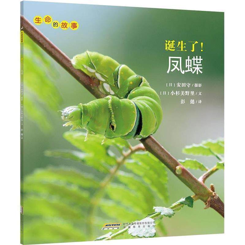 【正版书籍】 生命的故事:诞生了!凤蝶 小杉美野里 安徽教育出版社