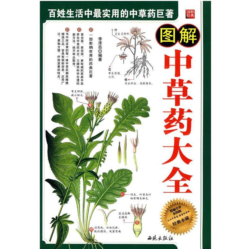 【正版书籍】 图解中草药大全 李泽亮 编著