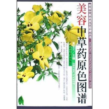【正版书籍】 美容中草药原色图谱 黄燮才 主编 广西科学技术出版社