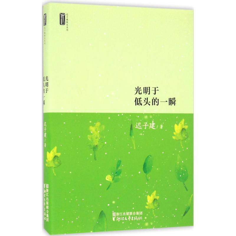 【正版书籍】 迟子建散文系列:光明于低头的一瞬 迟子建 著 浙江文艺出版社