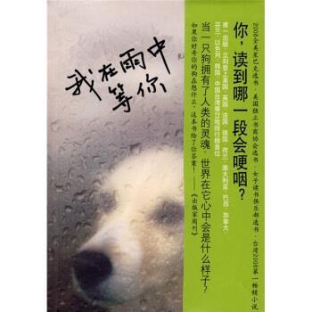 【正版书籍】 我在雨中等你 [美] 斯坦 著,林说俐 译 南海出版公司