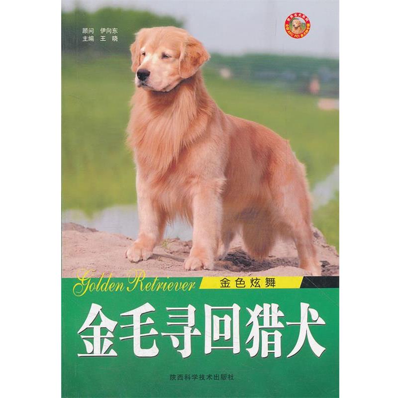 【正版书籍】 金毛寻回猎犬 王晓 主编 陕西科学技术出版社