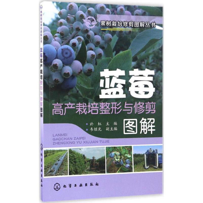 【正版书籍】 蓝莓高产栽培整形与修剪图解 於虹 化学工业出版社