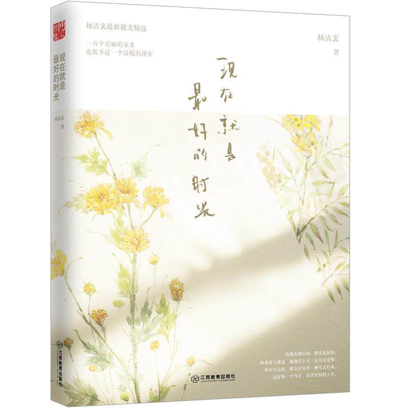 【正版书籍】 现在就是的时光 林清玄 江西教育出版社