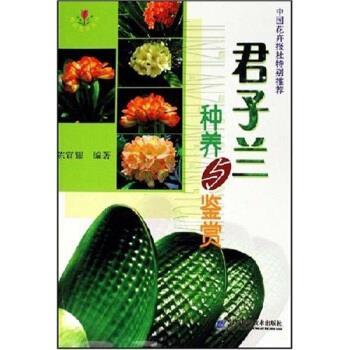 【正版书籍】 君子兰种养与鉴赏 陈宣耀 著 辽宁科学技术出版社