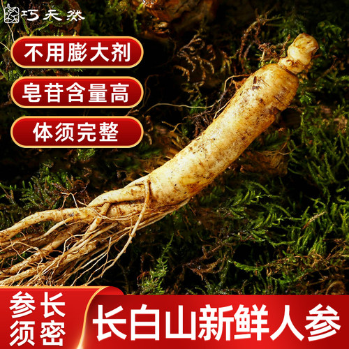 巧天然长白山鲜人参110g