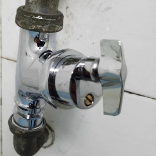 全铜厕所旋钮式 冲洗阀开关 大便池冲水阀蹲便器延时手拧式 蹲坑角式