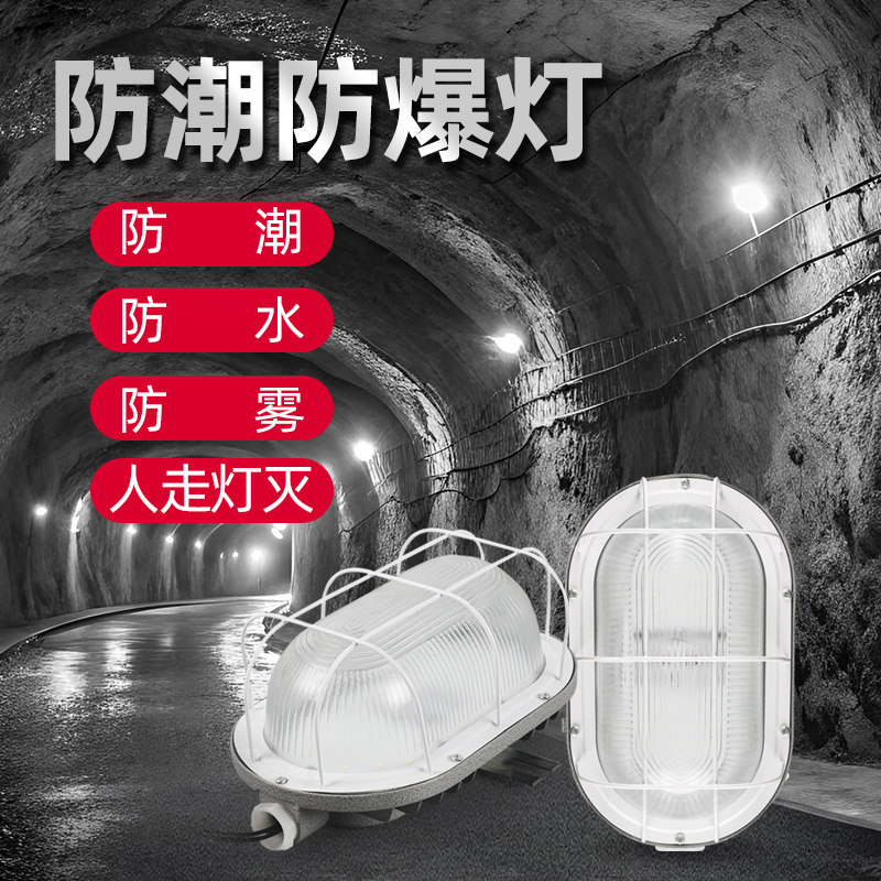 防潮防爆灯壁挂声控感应吸顶led防水灯防雾贴墙三防配电间感应灯