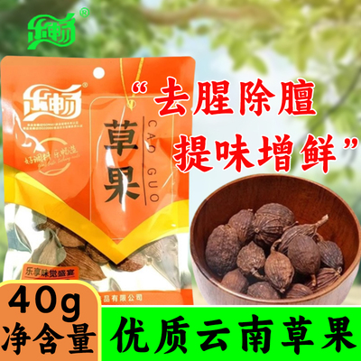 乐畅草果香料40g袋干货药材卤料