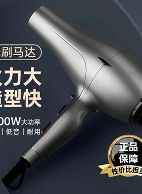 6600H电吹风机理发店发廊专用2400W发型师专业无刷电机正品吹风筒