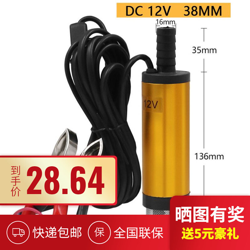 德国进口抽油泵12V电动直流柴油加油机24V电动抽油泵自吸潜水泵油