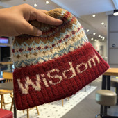 费尔岛风字母针织毛线帽秋冬保暖护耳百搭复古显脸小护耳帽包头帽