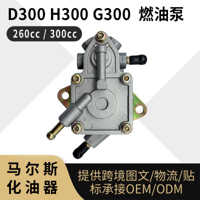 D300H300G300燃油泵260cc