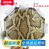 已铲皮二胡手工琴皮胡中胡坠琴皮三弦皮热瓦普 扎木念蒙皮蟒皮